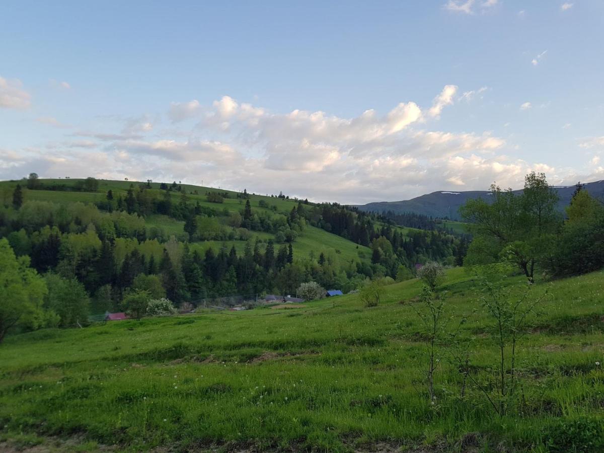 Apartmán Карпатський Будинок Izky Exteriér fotografie
